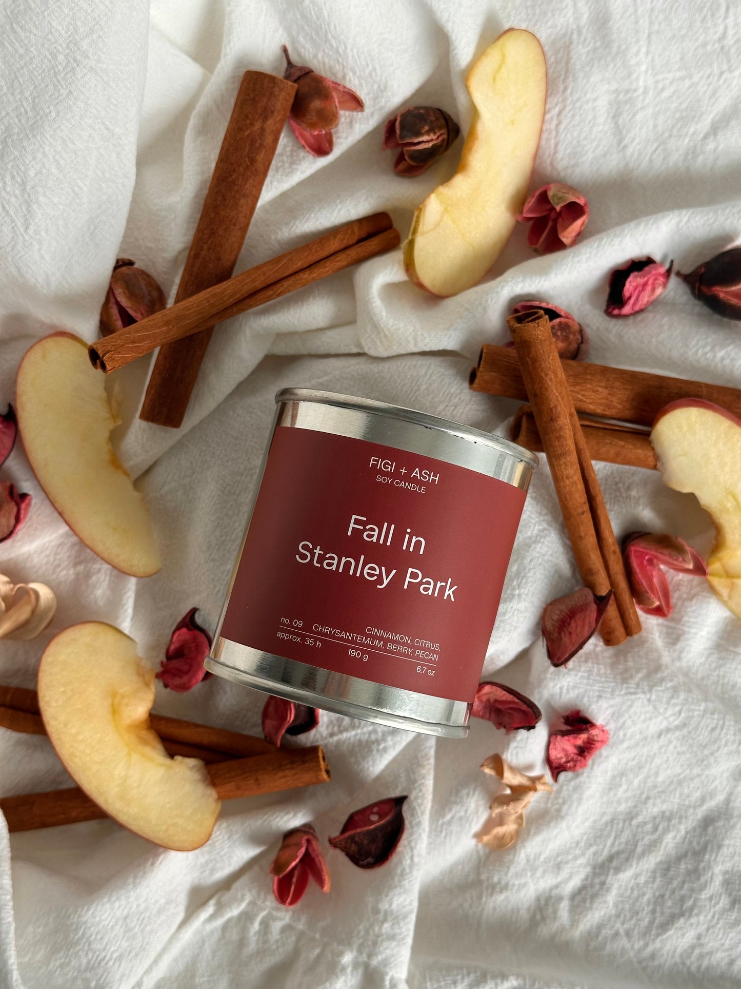FALL IN STANLEY PARK