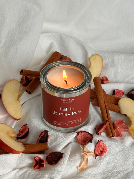 FALL IN STANLEY PARK