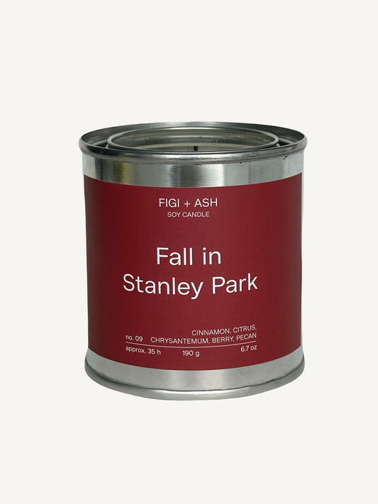 FALL IN STANLEY PARK