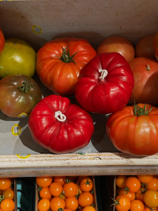 TOMATO